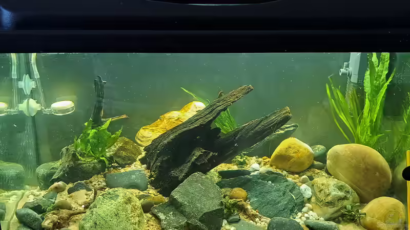 09.09.2023 von okefenokee (7)