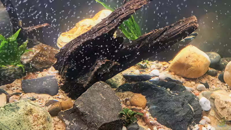 09.09.2023 von okefenokee (8)