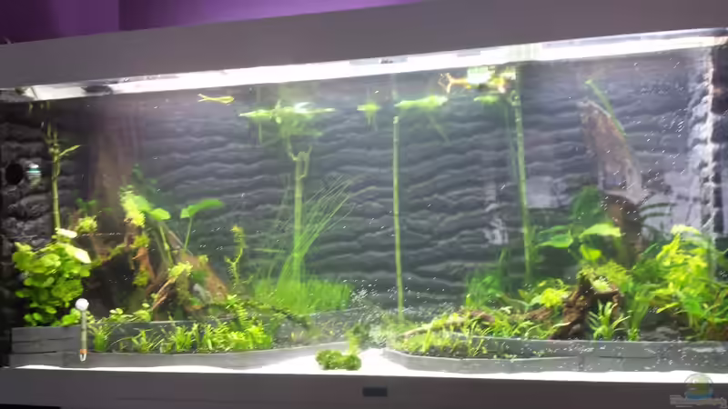 09.09 von sonic85 (20)