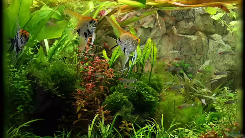 09.10.10 von Ralf64 (17)