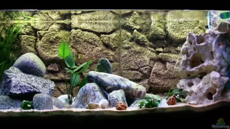 09,10,2006 von Paul Hoffmann (1)