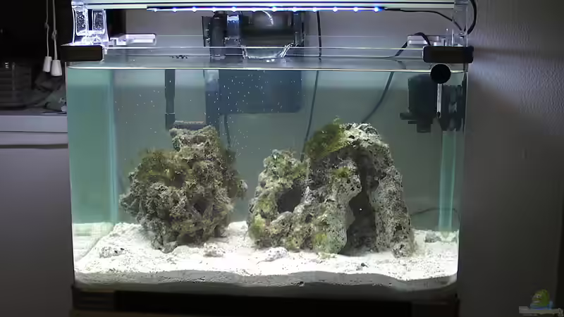 09.10.2008 von Merya (5)