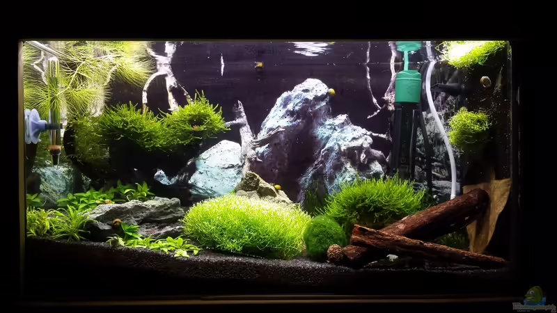 09.10.2014 von Lucky3310 (5)