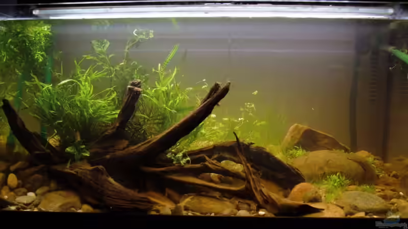 09.10.2016 von Dominik (2)