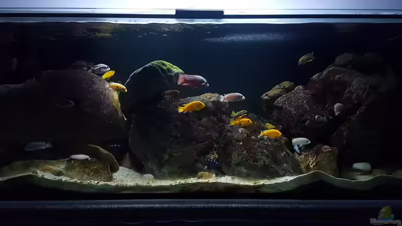 09.10.2018 von Mel (11)