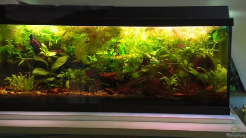 09.11.08 von Dominik (11)