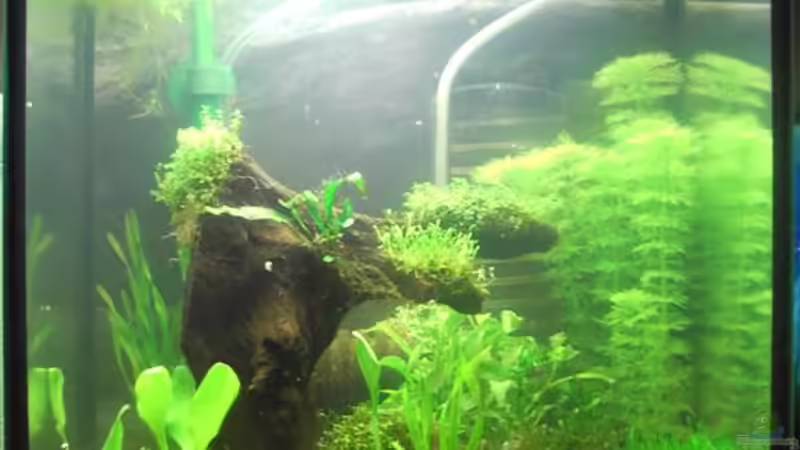 09.11.08 von Oli (1)