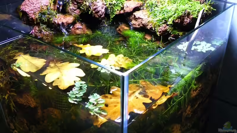 09.11.2010 - Tag 1 von bergfrau (2)