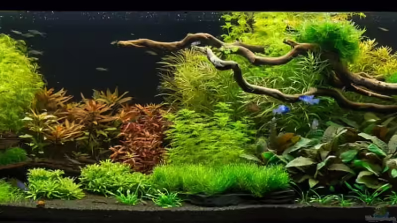 09.11.2013 von Finch (2)