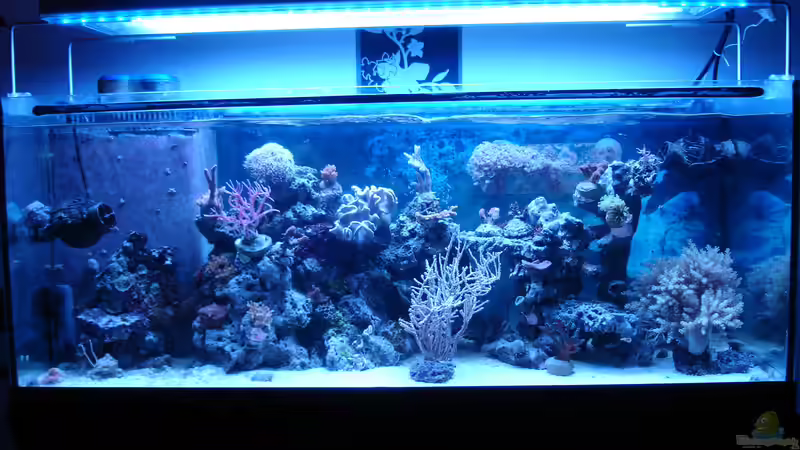 09.11.2013 von Jane Vogeler (31)