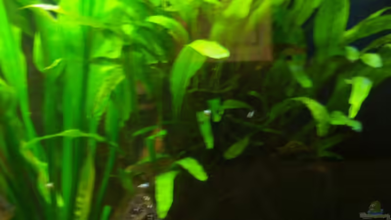 09.11.2014 von Schratze (29)