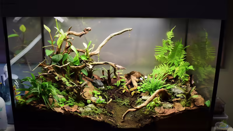 09.11.2018 von Junglist (5)