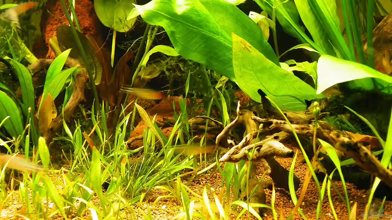 09.12.2011 - Dekoration von bergfrau (16)