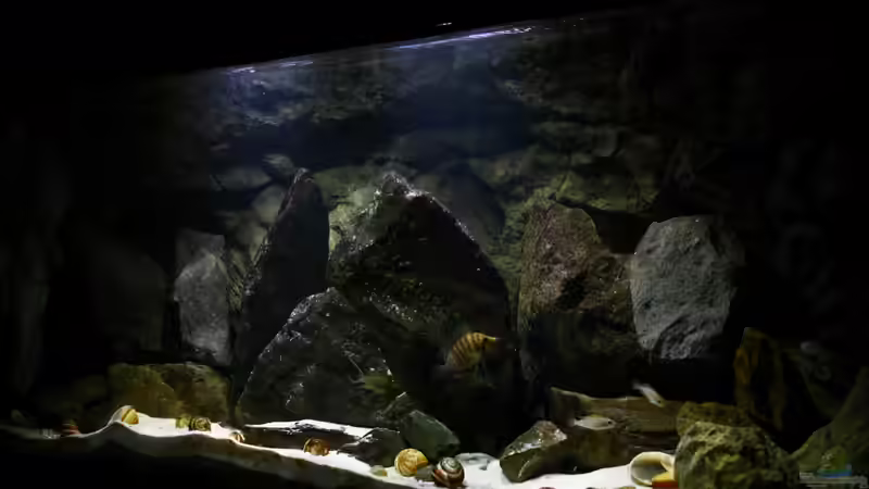 09.12.2013 von Koehler (11)