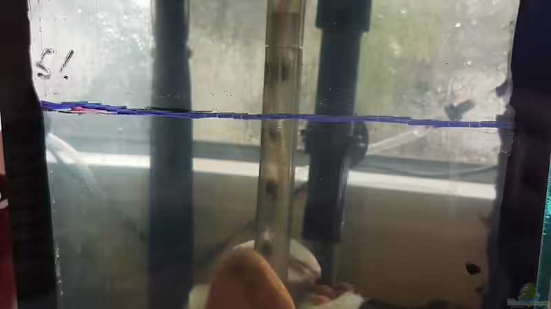 09.12.2018 mit Heizer von Kevin Engelsberger (9)