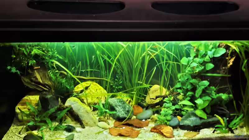 09.12.2021 von okefenokee (38)