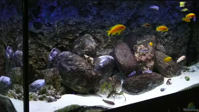 09/2010 von tenebroso (4)