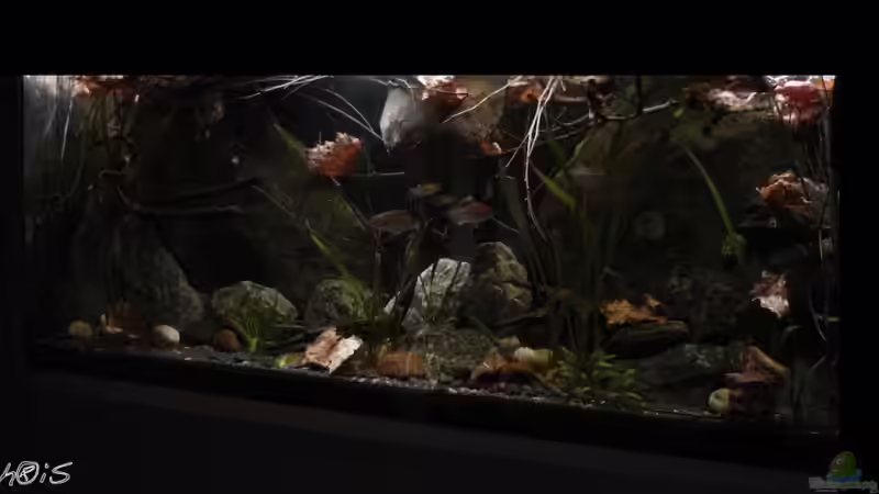 09.2011 von Chris_R. (3)