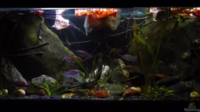 09.2011 von Chris_R. (4)