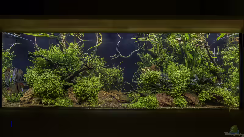 09/2018 von JARB (8)