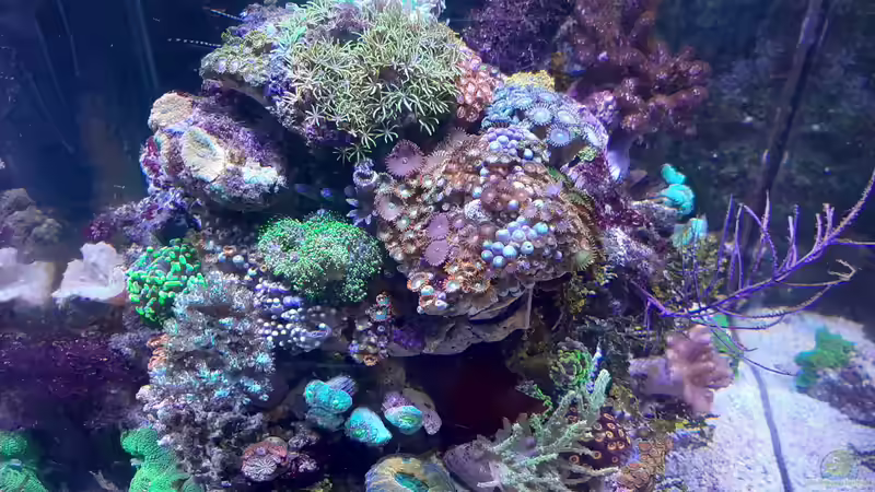 09/2020 von Toni (3)