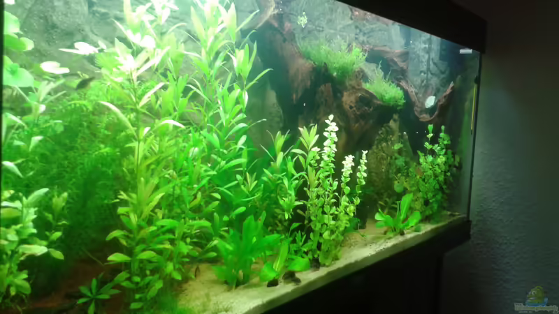 1. April 2014 von links von Deoroller (21)