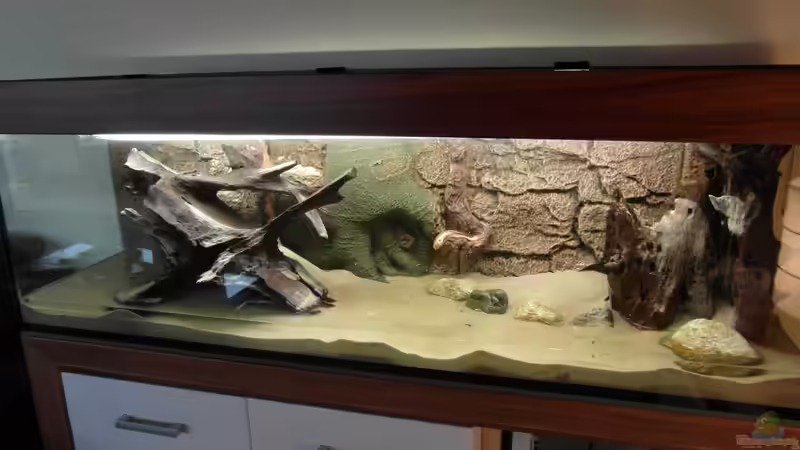 1. Befüllung mit Wasser von Tom G. (7)