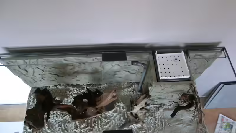 1. Deko von oben von Steven Tumma (36)