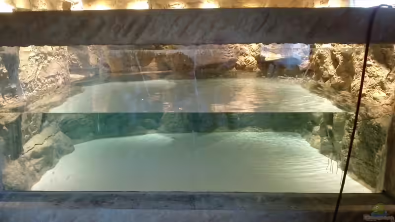 1. Füllung von Hayabusa (29)