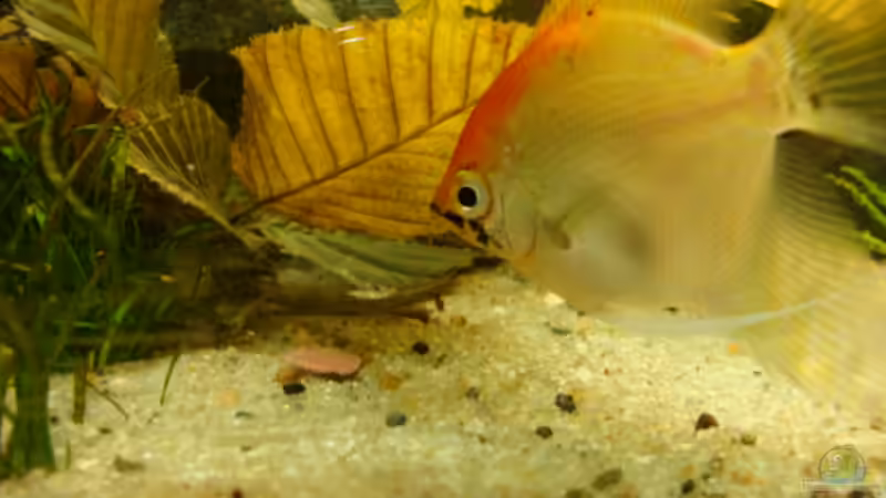 1. Juni 2012 von Marina (1)