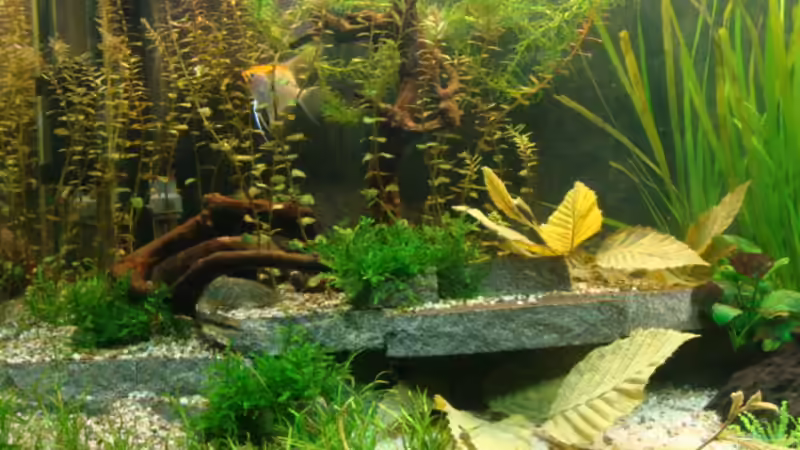 1. Juni 2012 von Marina (10)