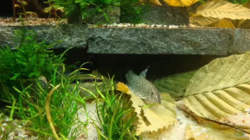 1. Juni 2012 von Marina (11)