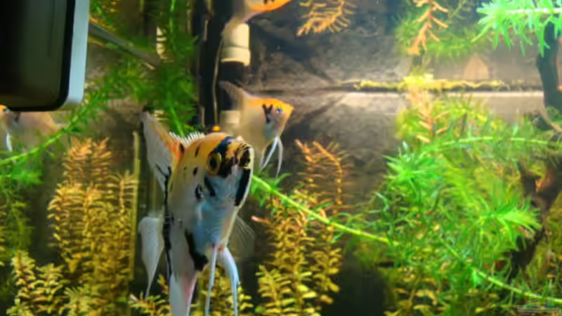 1. Juni 2012 von Marina (12)