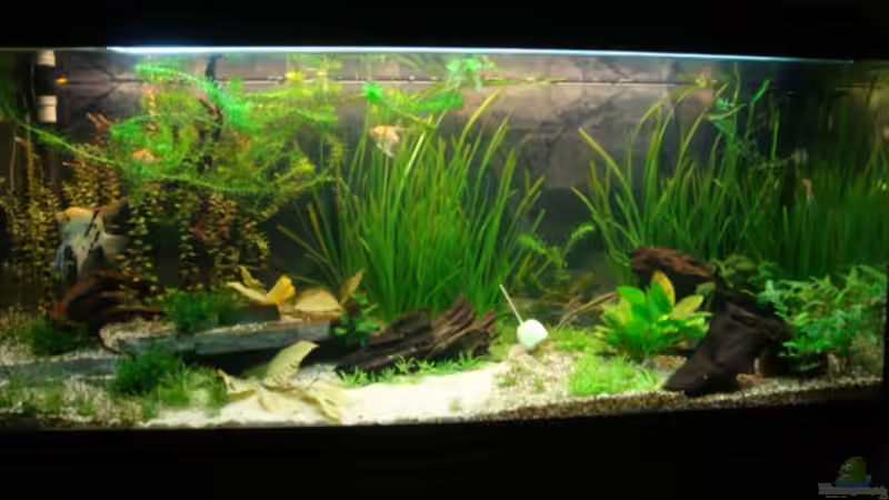 1. Juni 2012 von Marina (7)