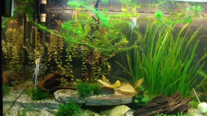 1. Juni 2012 von Marina (8)