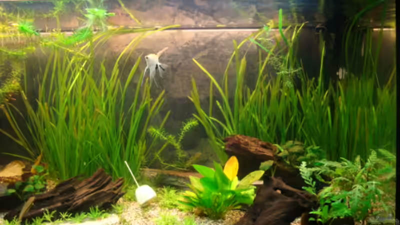 1. Juni 2012 von Marina (9)