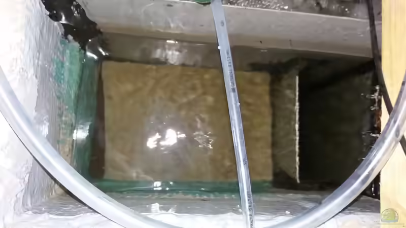 Aquarienfilter mit Filterwatte