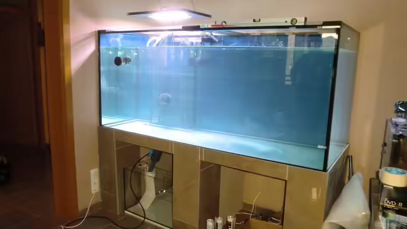 1. Lampe installiert.... von Truthahnmann (7)