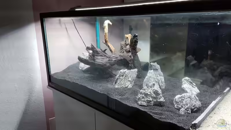 1. Layout, andere Seite von Sunnyboy_72 (6)