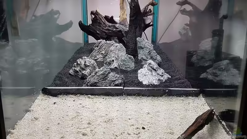 1. Layout von Sunnyboy_72 (4)