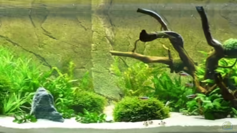 1. neue Einrichtung von Christiane Feldmann (13)