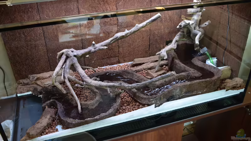 1. Probelauf von Junglist (14)