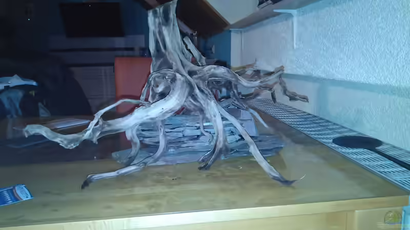 1. Stufe der Schieferterasse nach Fertigstellung. von AdrianSoS (39)