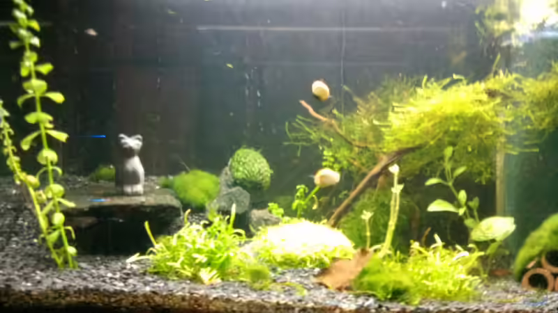 1. Tag - 06.11.11 von Gonnos (2)