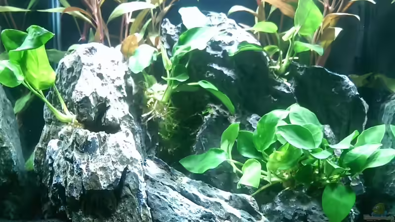 1. Tag, 03.07.2015 von dima1969 (8)