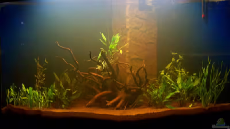 1. Tag nach dem Einrichten von Uwe Trauernicht (2)