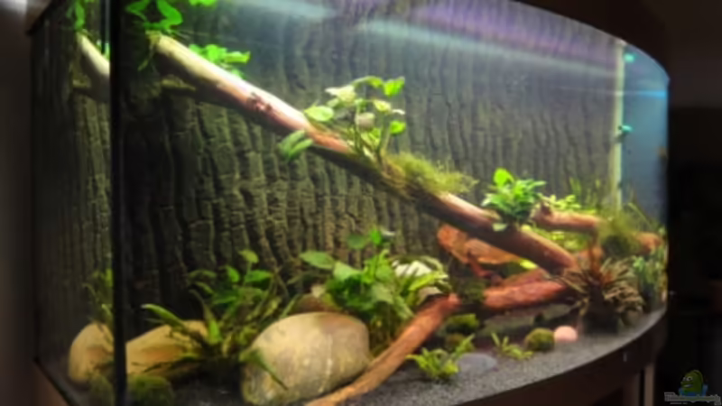 1. Tag von Heiko Stracke (4)