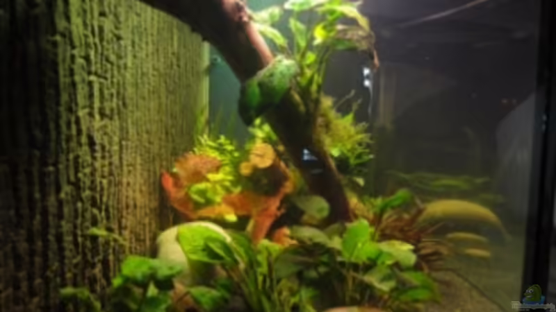 1. Tag von Heiko Stracke (5)