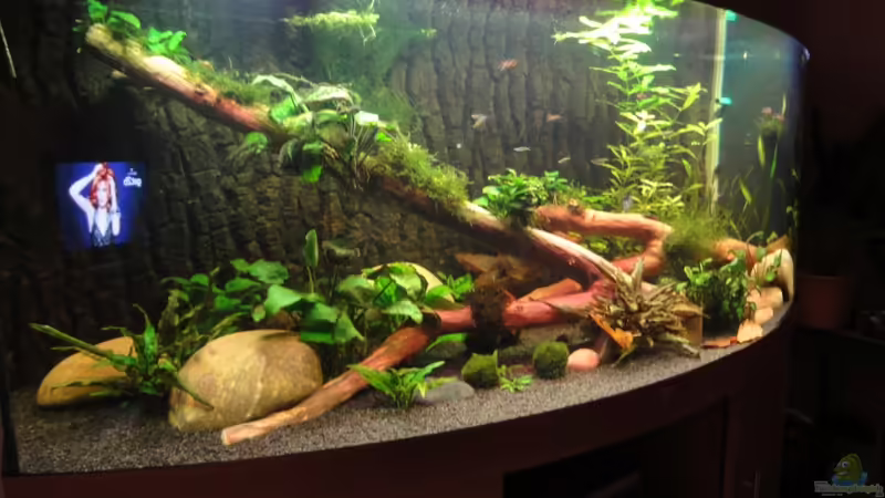 1. Tag von Heiko Stracke (6)