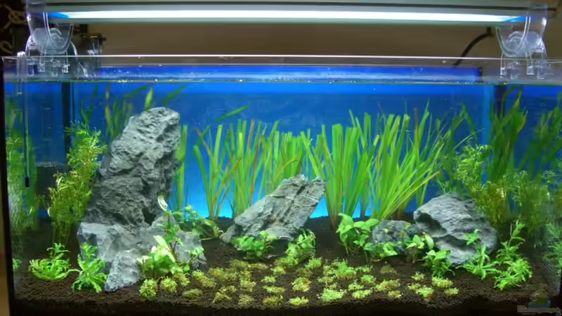 1. Tag von marspi (3)